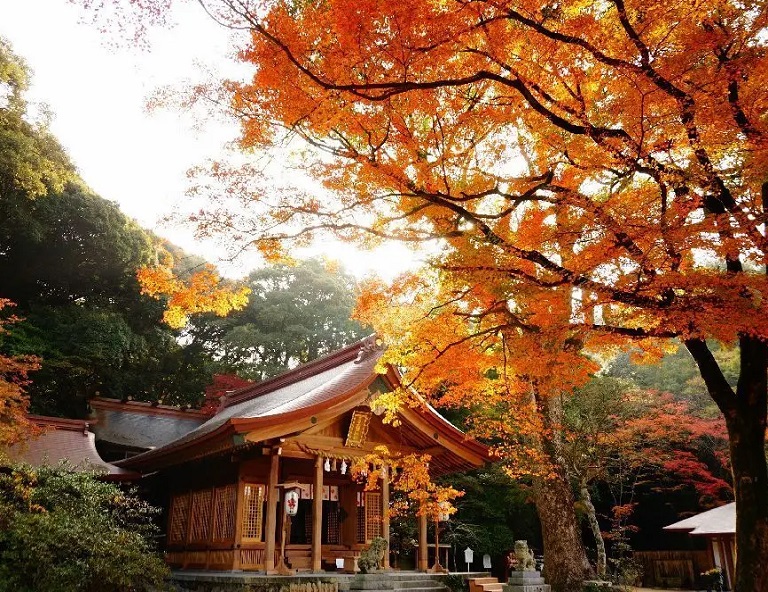 【九州星楓情】高千穗峽．耶馬溪．御船山樂園．湯布院．竈門神社．秋月城跡 5天